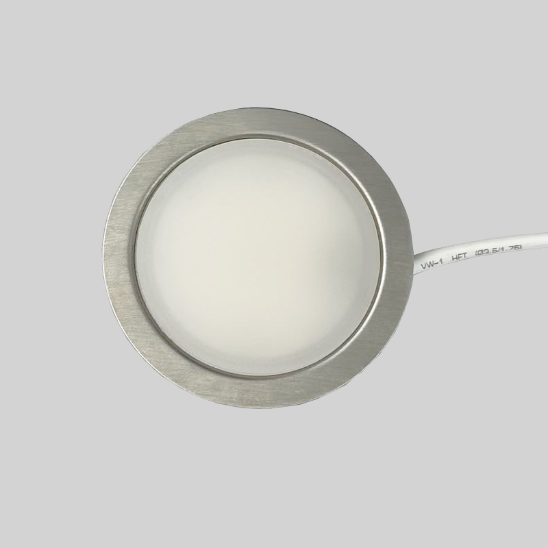 LED P Spot Stainless Steel  with Diffuser 12V