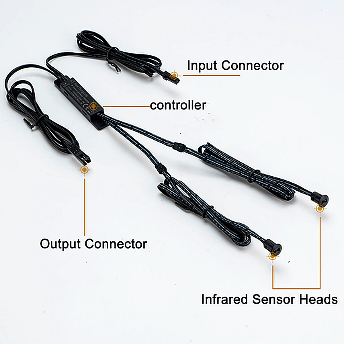 IR025W dual-head IR sensor switch controller showing input and output connections